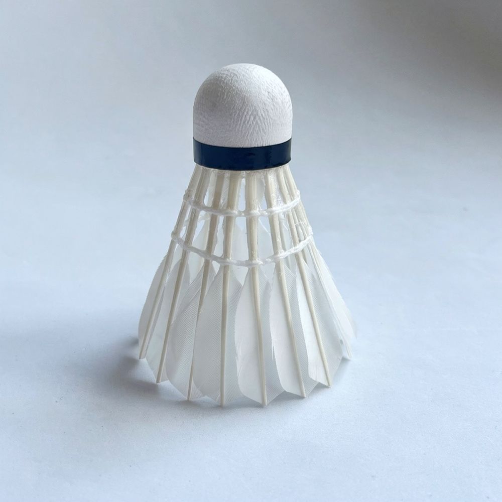 プロ仕様のグースフェザー製バドミントンシャトル。安定した飛行 - Feather Shuttlecock のレビューと価格